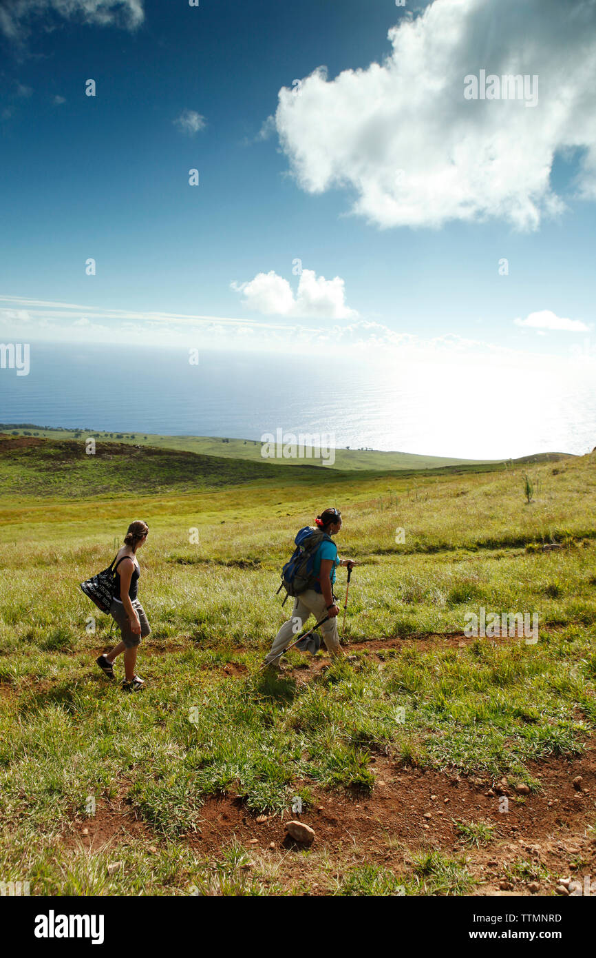 osterinsel, CHILE, Isla de Pascua, Rapa Nui, Wanderer erkunden die grünen, üppigen Hügel, die zum Maunga Terevaka, dem höchsten Punkt der Insel, führen Stockfoto