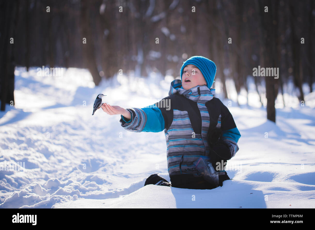 Junge mit Vogel kniend auf schneebedeckten Feld Stockfoto