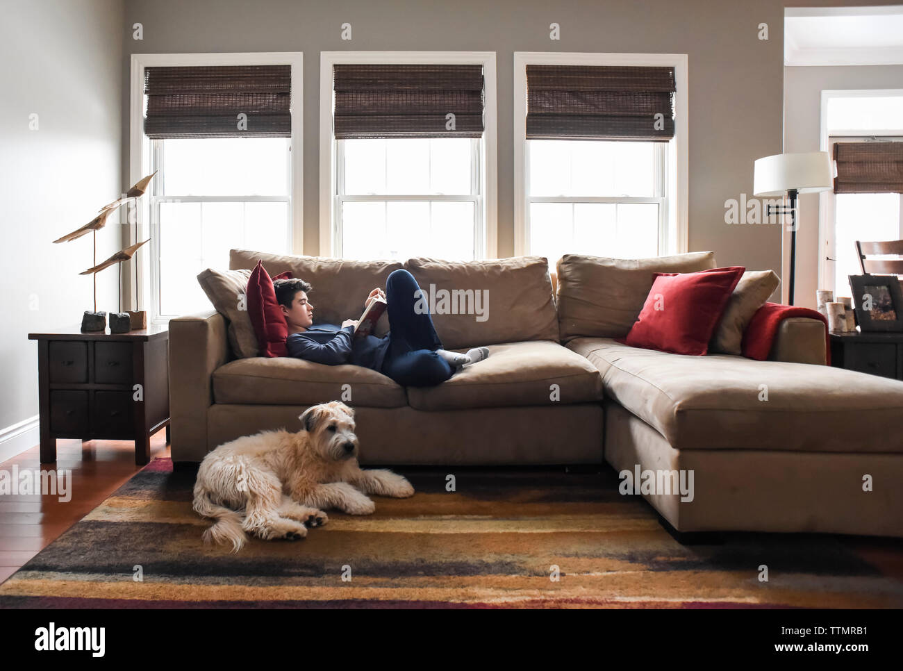 Junge lesen auf der Couch im Wohnzimmer mit Hund tagsüber. Stockfoto