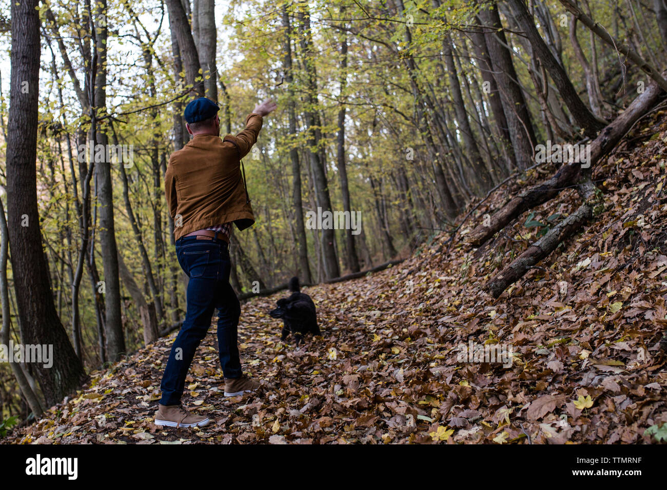 Ansicht der Rückseite des Mann mit Hund wandern im Wald im Herbst Stockfoto