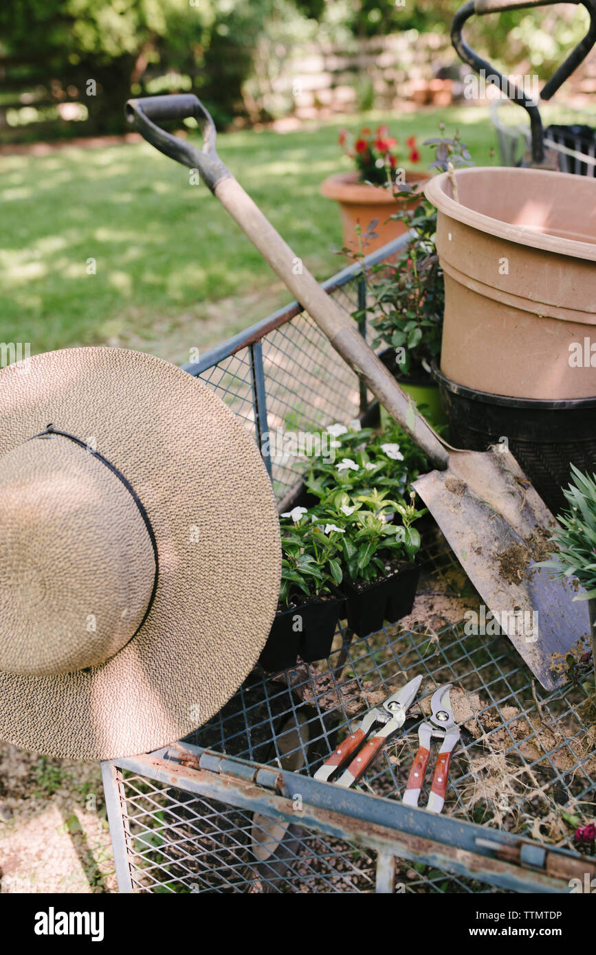 Sonnenhut mit Schaufel und Topfpflanzen im Garten Wagen Stockfoto