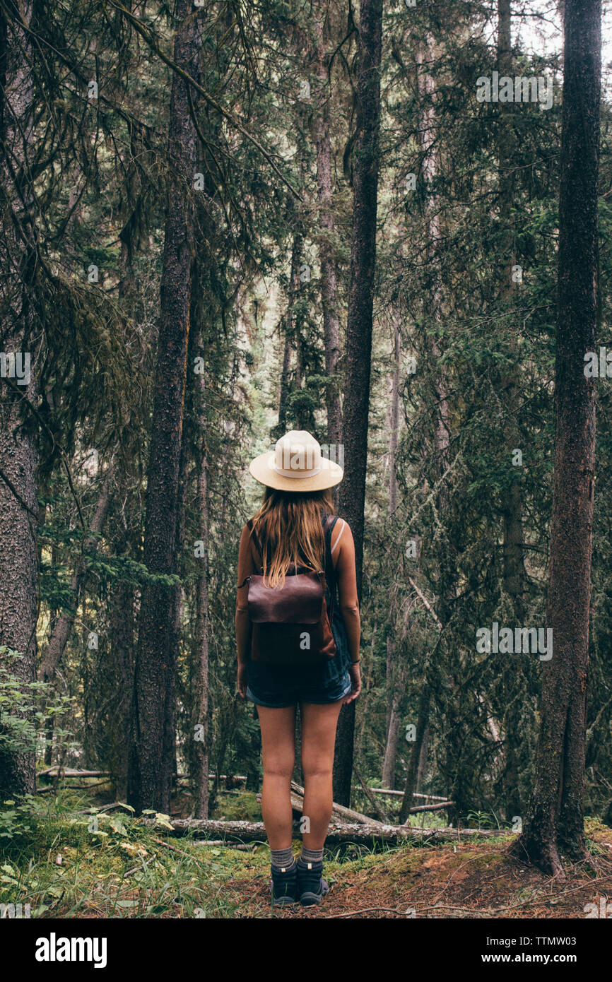 Ansicht der Rückseite Frau mit Rucksack im Wald Stockfoto