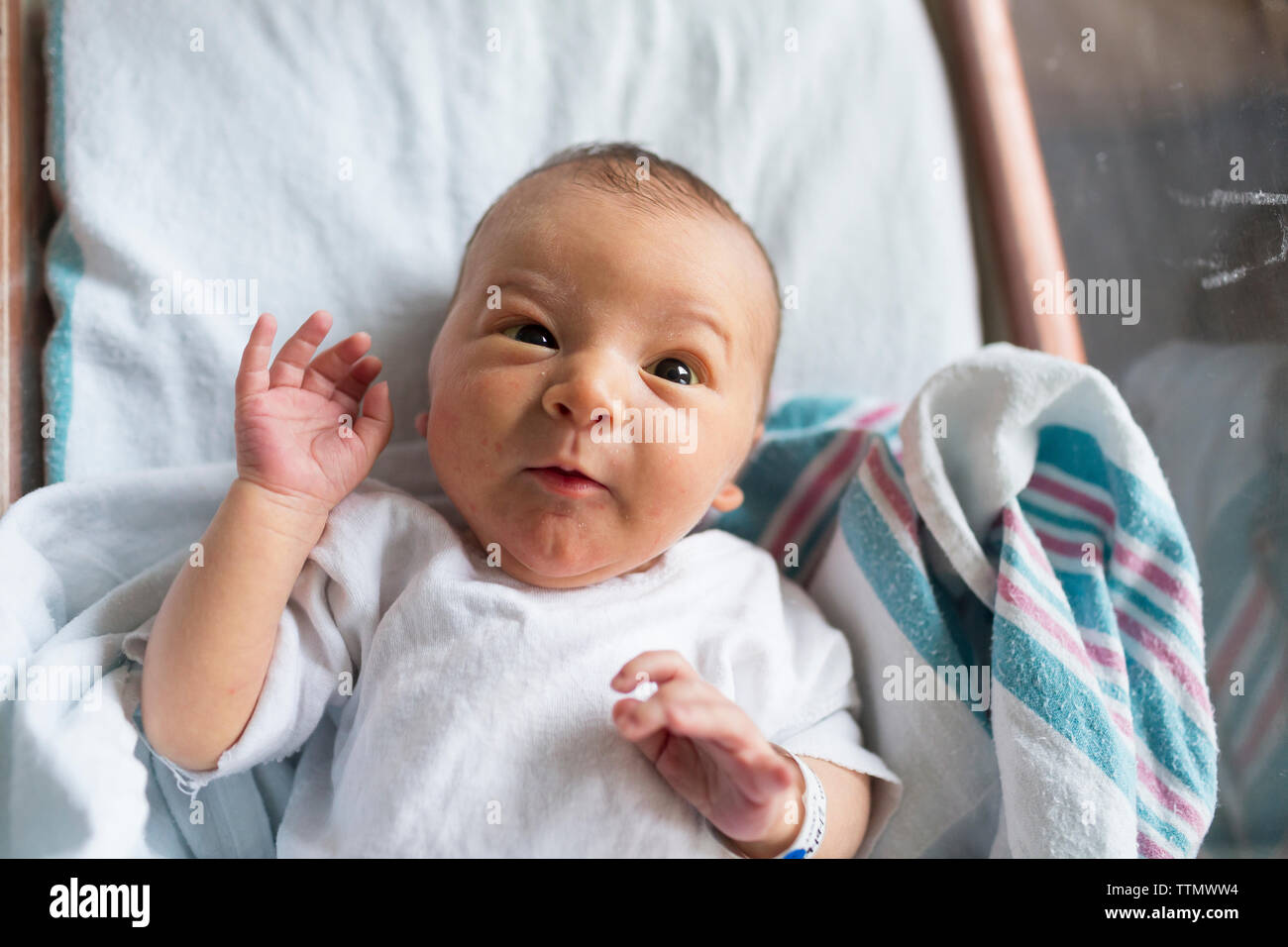 Neugeborenes Baby im Krankenhaus Wiege auf Rosa und Blaue Decke Stockfoto