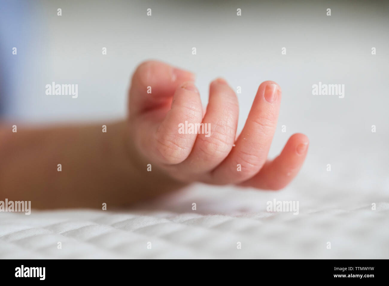 Nahaufnahme, Makro des neugeborenen Babys Hand und Finger Stockfoto