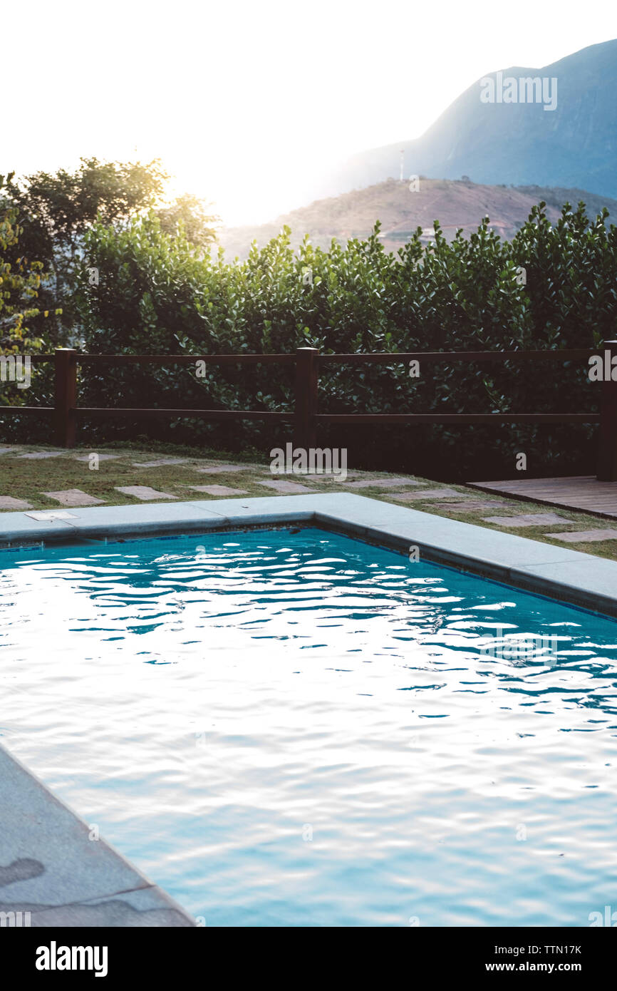 Swimmingpool, der von Pflanzen gegen klaren Himmel bei Sonnenuntergang Stockfoto