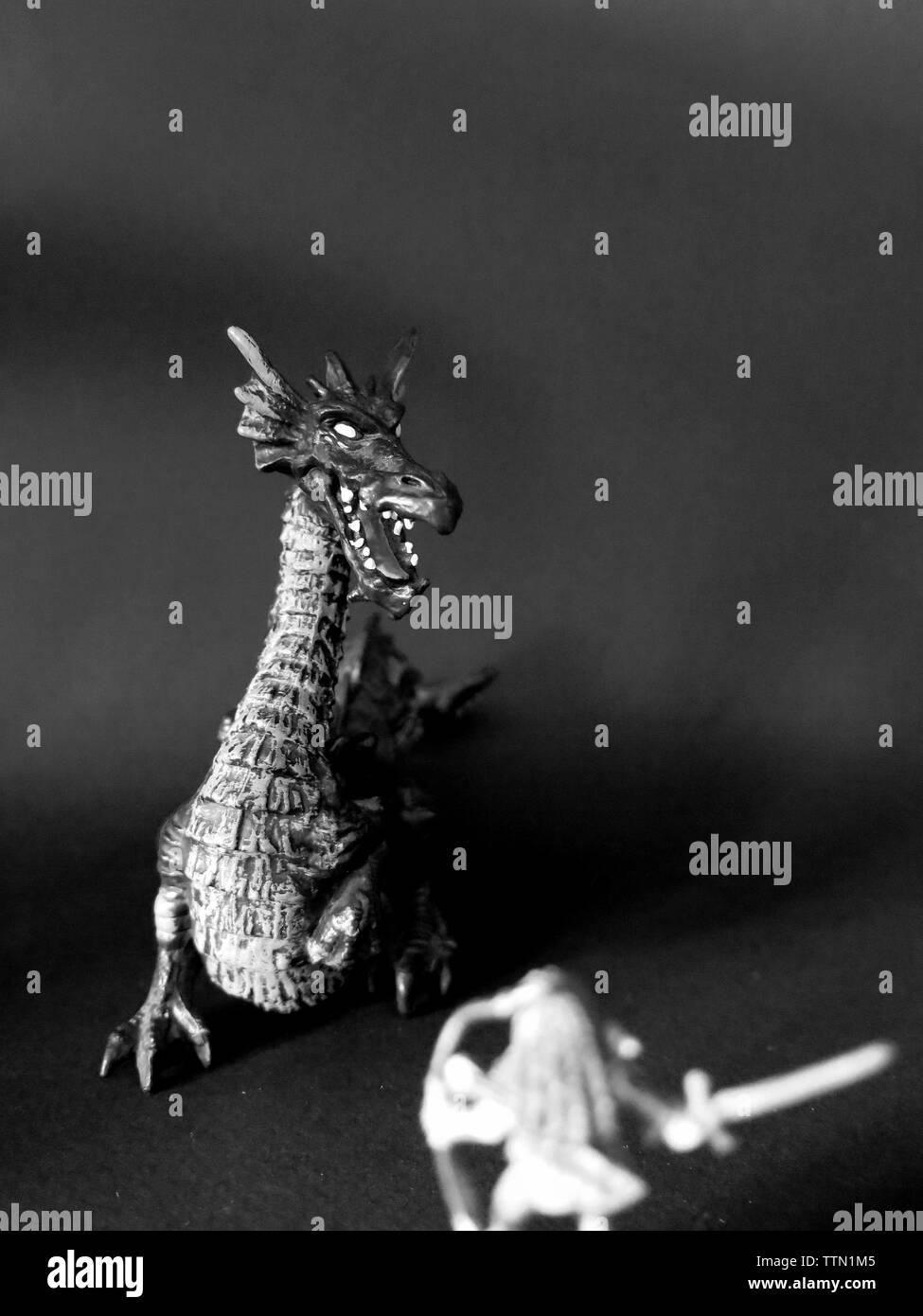 Menschlichen weiblichen Druid kämpfende Drachen, Dungeons & Dragons Rollenspiel. Stockfoto