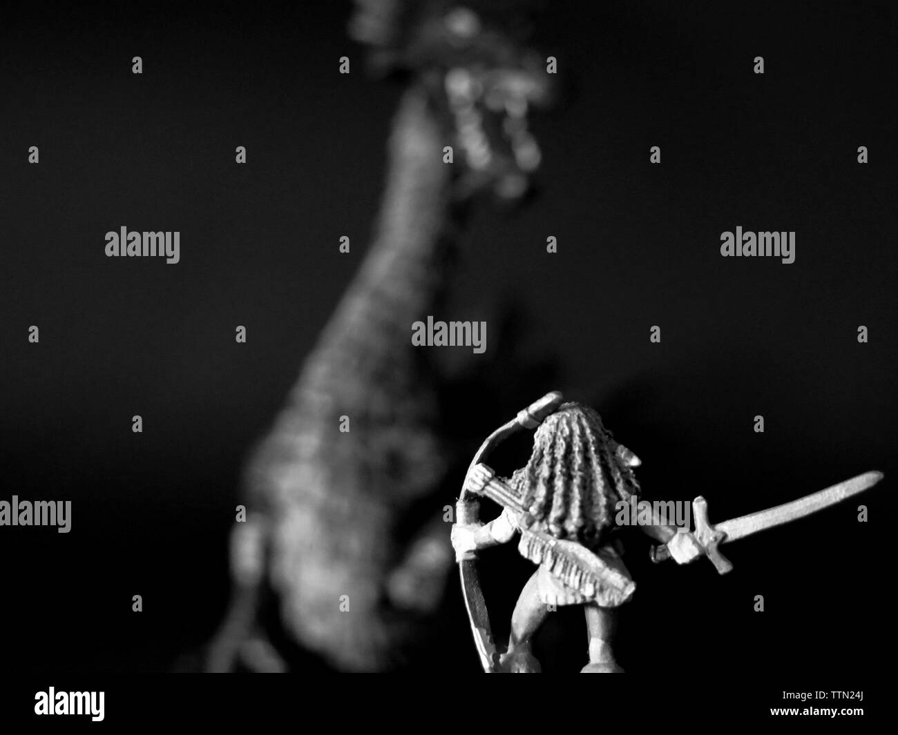 Menschlichen weiblichen Druid kämpfende Drachen, Dungeons & Dragons Rollenspiel. Stockfoto