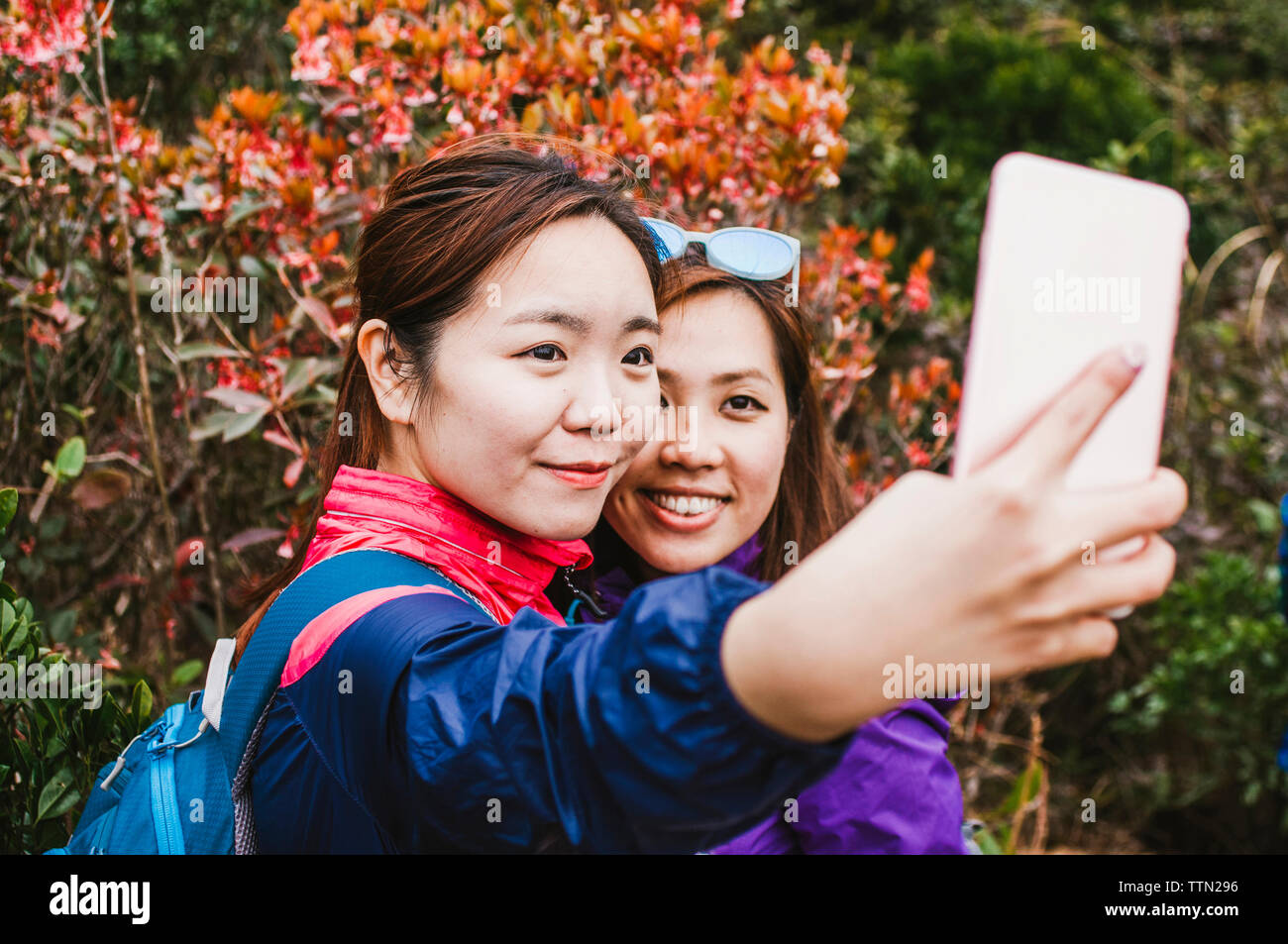 Weibliche Freunde unter selfie mit Handy beim Stehen durch Bäume Stockfoto