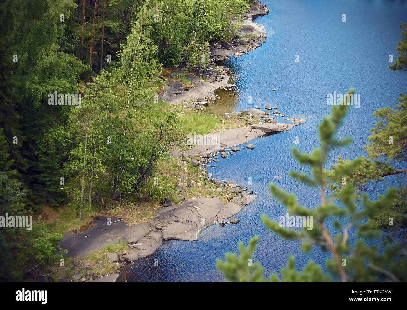 River zu den felsigen Küsten und Kiefernwälder in Wetter Stockfoto