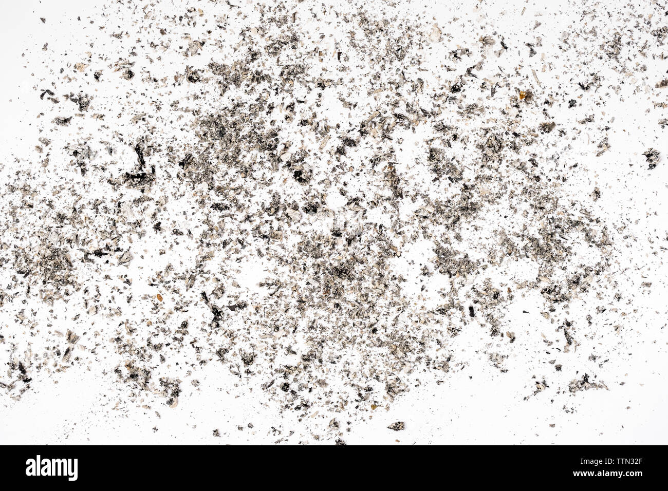 Grau Zigarettenasche auf weißem Hintergrund Stockfoto