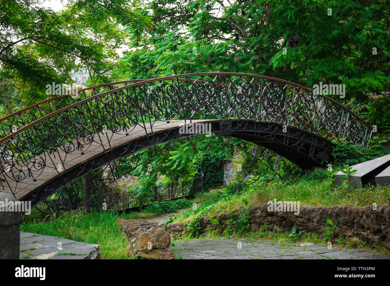 Metal Bridge im Sommer Park Stockfoto