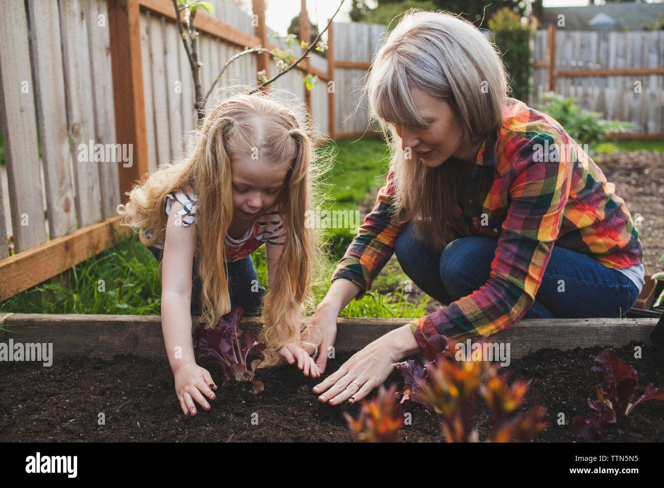 Mädchen mit Mutter Pflanzung in angehobener Pritsche im Hinterhof Stockfoto