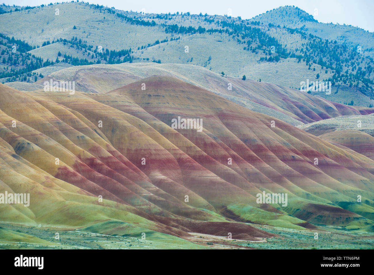Malerischer Blick auf John Day Fossil Beds National Park Stockfoto