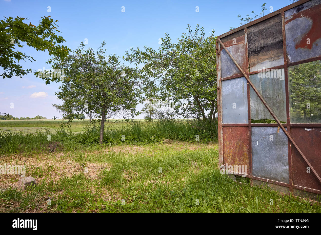 Eine alte rostige öffnen Gewächshaus Tor in einem ländlichen Garten. Stockfoto