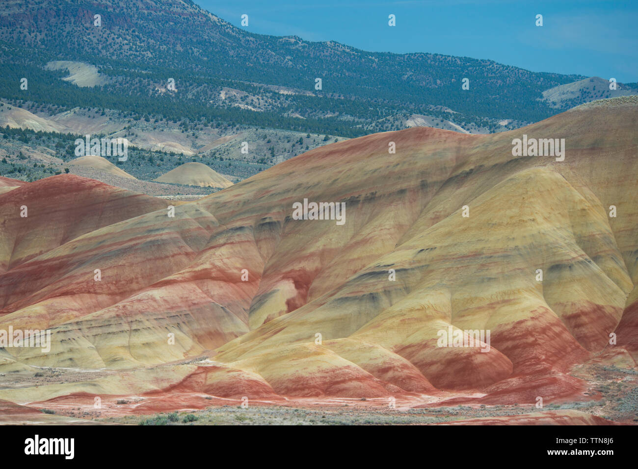Hohen Winkel majestätischen Blick auf die Hügel bei John Day Fossil Beds National Park Stockfoto