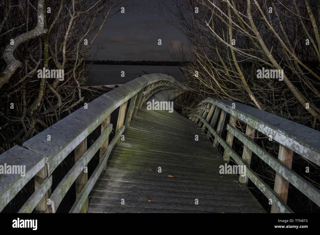 Holzsteg inmitten von Niederlassungen in Wald am Everglades National Park bei Nacht Stockfoto