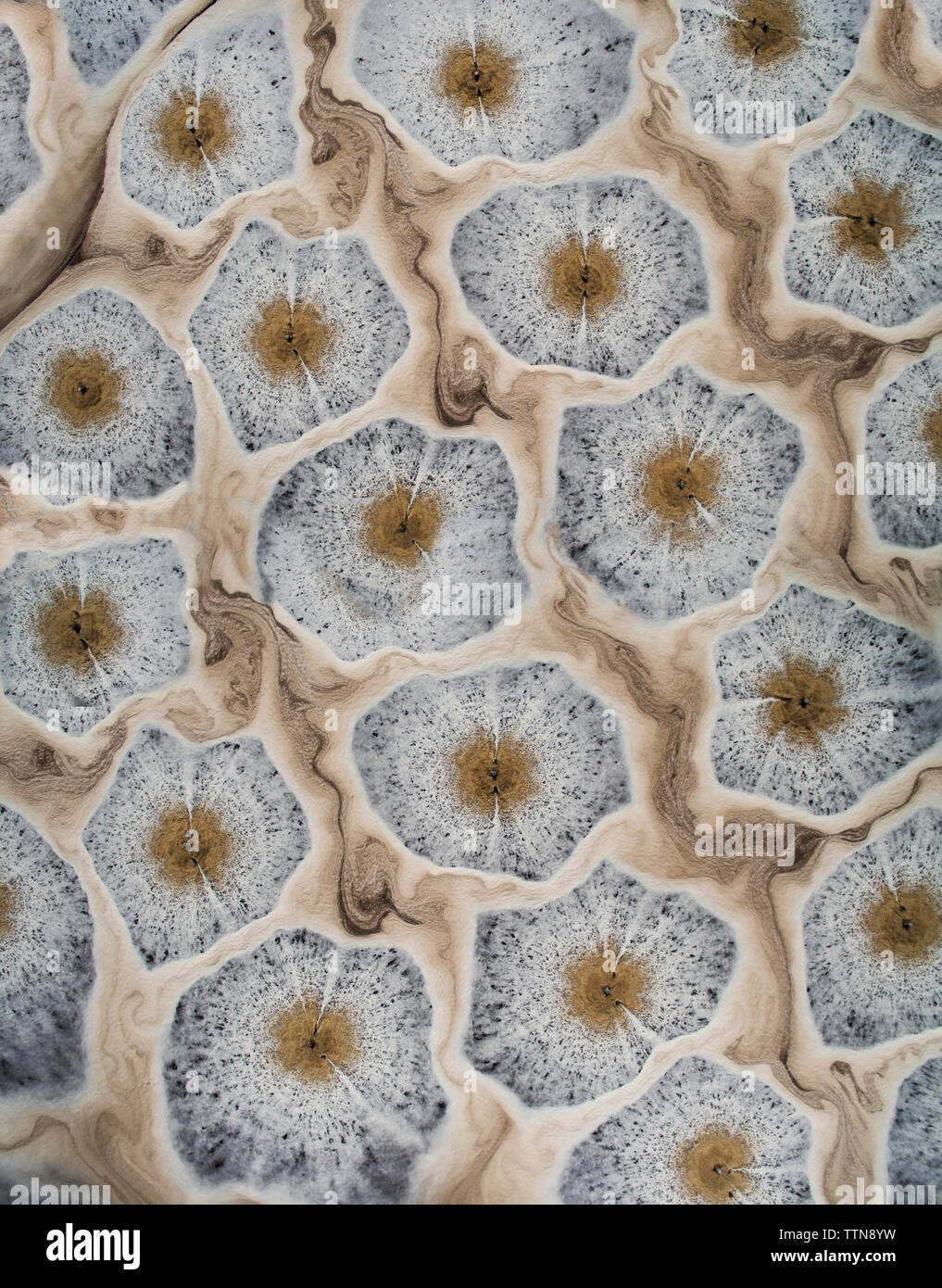 Drone Schuß von abstrakten Mustern in Mississippi. Stockfoto