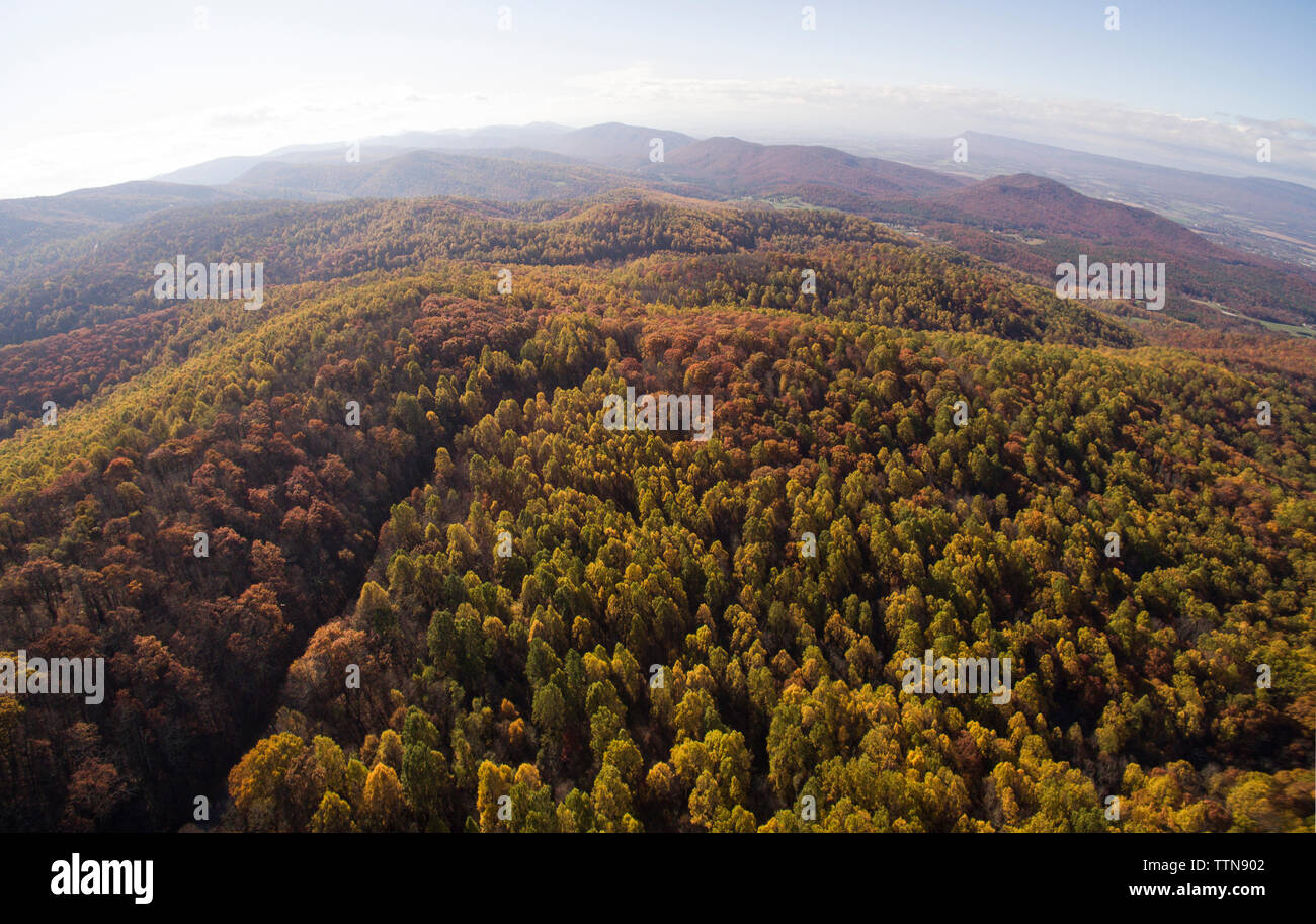 Luftaufnahme von Wald und Berge am Shenandoah National Park im Herbst Stockfoto