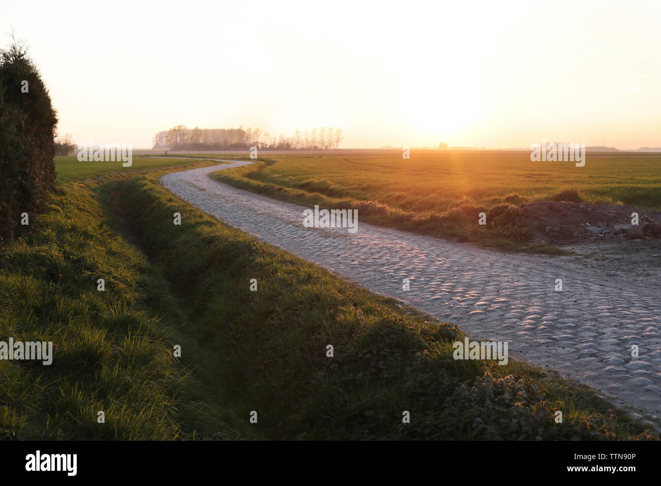Leere gepflasterten Straße inmitten von Feld während der Sunrise Stockfoto