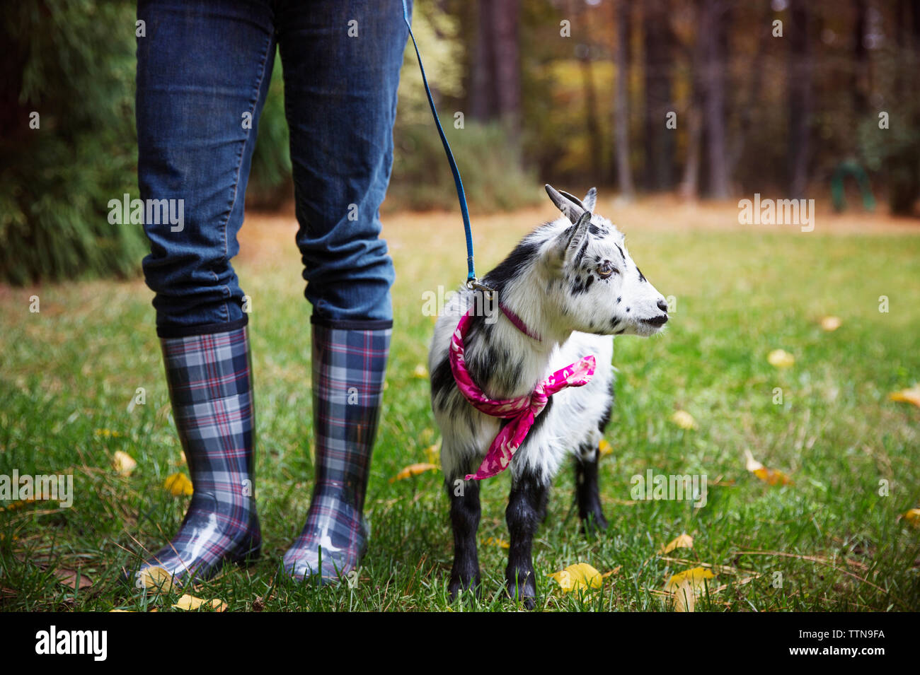 Wellington boots frau -Fotos und -Bildmaterial in hoher Auflösung – Alamy