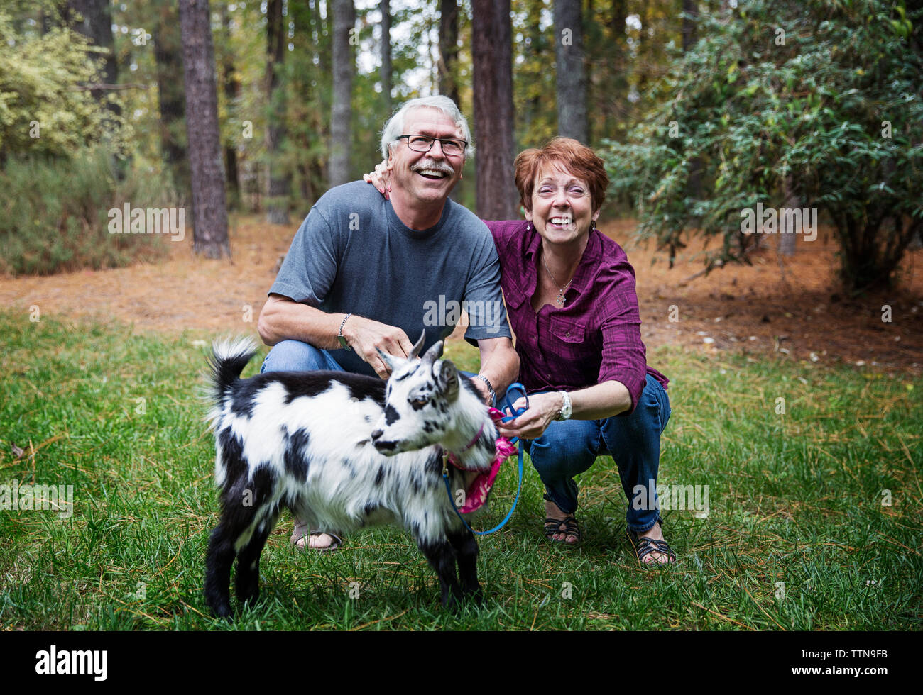 Mann und Frau in Wald mit Ziege Stockfoto