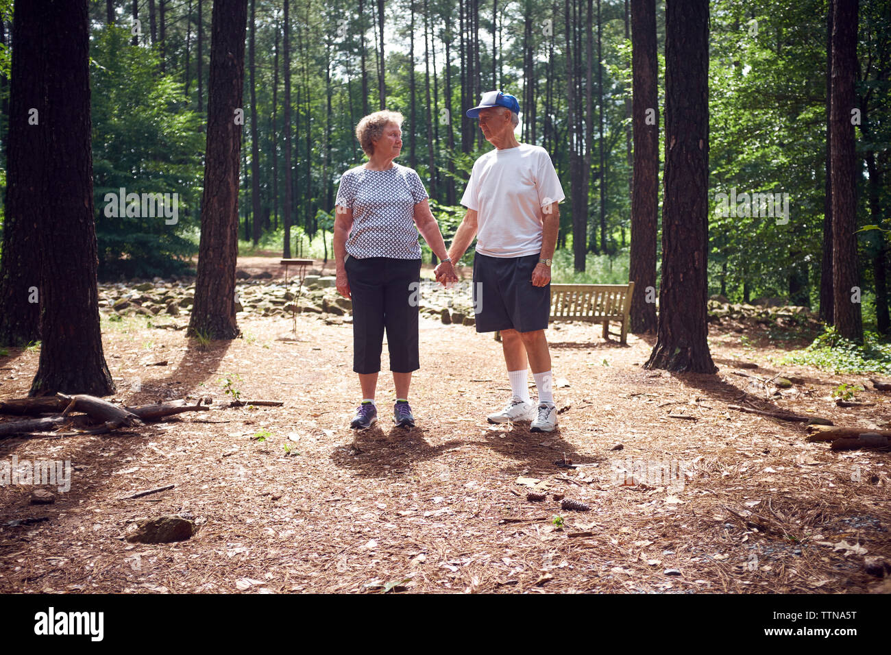 Senior Paar Hände halten beim Stehen in Wald Stockfoto