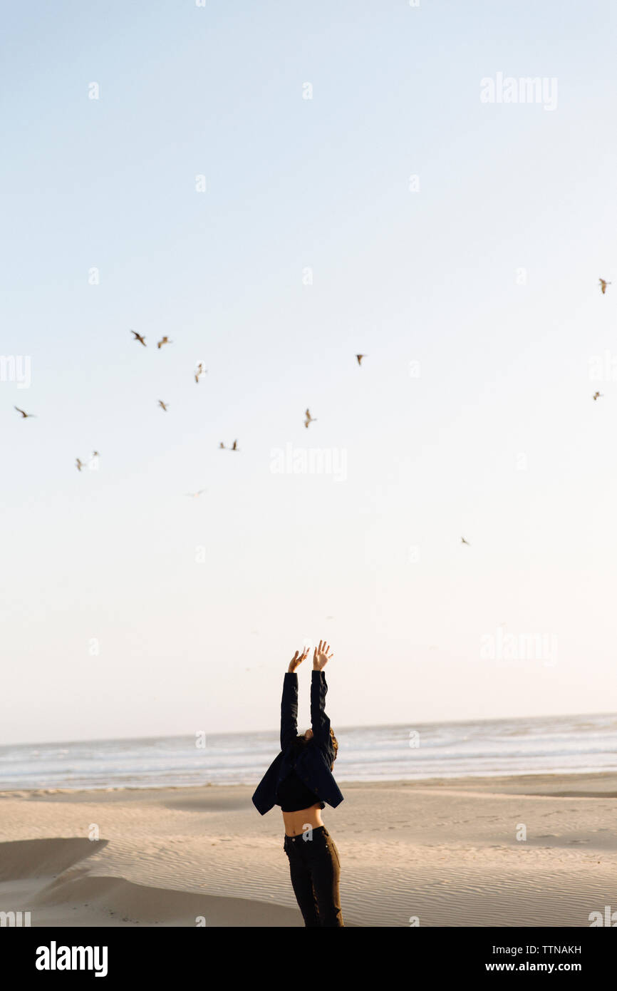Frau mit erhobenen Armen stehen am Strand gegen Vögel fliegen in klaren Himmel bei Sonnenuntergang Stockfoto
