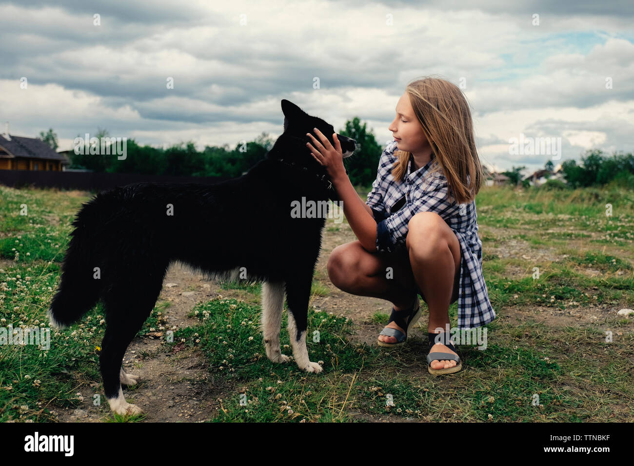 Jugendmädchen Streichelzoo Hund während kauert auf dem Feld gegen die stürmischen Wolken Stockfoto