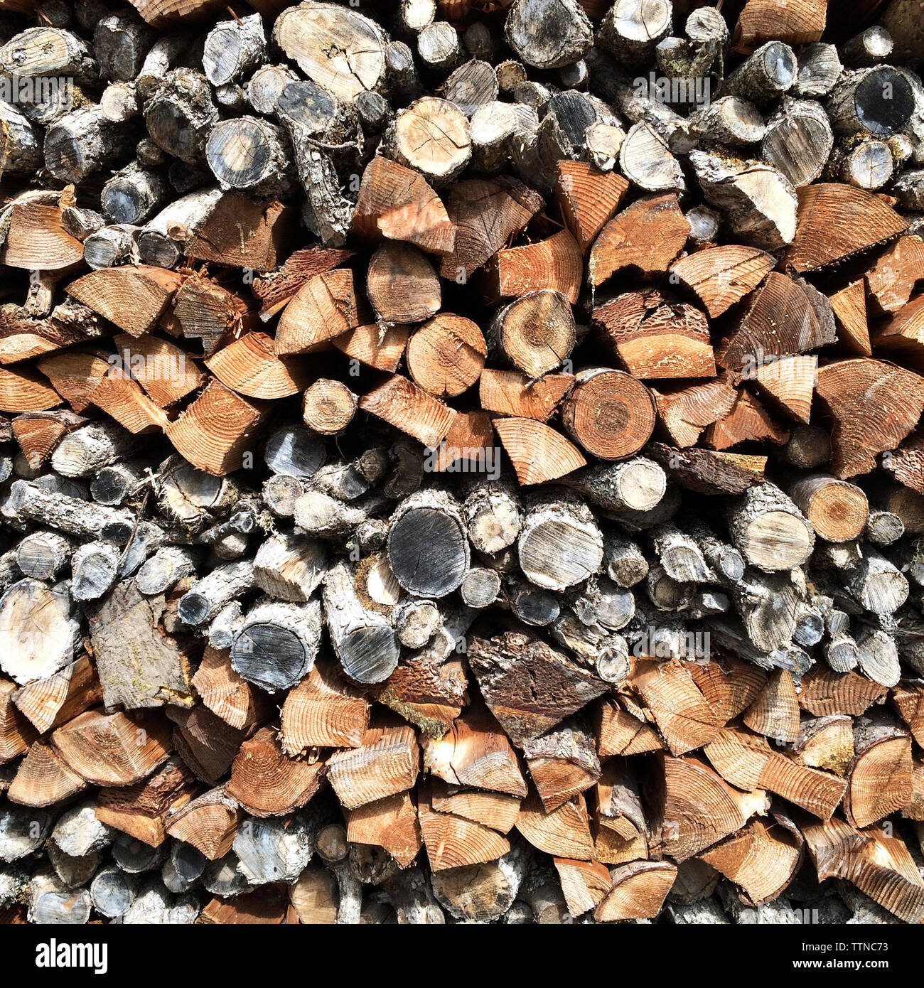 Full Frame von Stapel brennholz Stockfoto