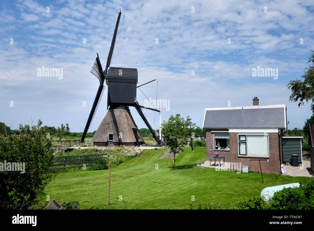 Holländische Windmühle Stockfoto