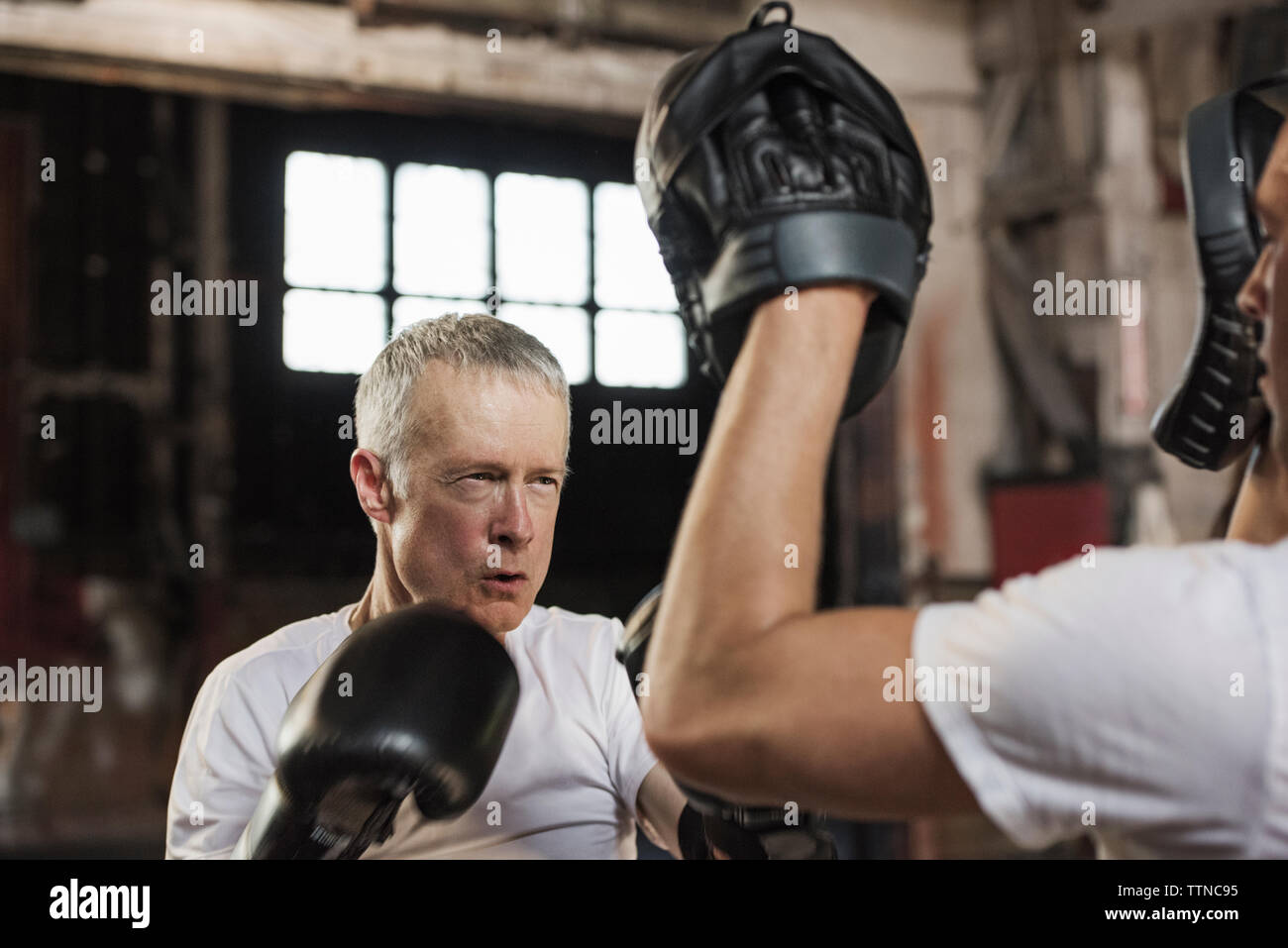 Ältere männliche Boxer üben mit Freund in der Turnhalle bestimmt Stockfoto