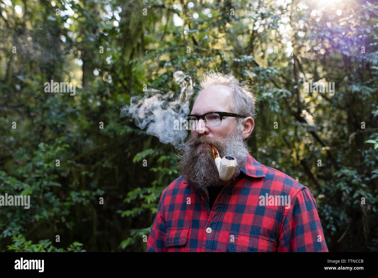 Mann rauchen Rohr beim Stehen gegen Bäume Stockfoto