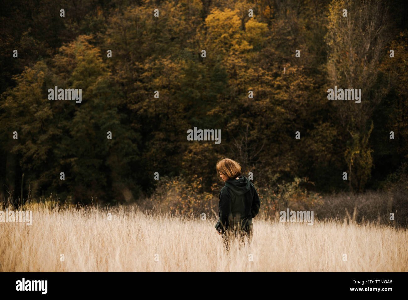 Ein schönes Porträt einer Frau, die im Herbst Landschaft Stockfoto