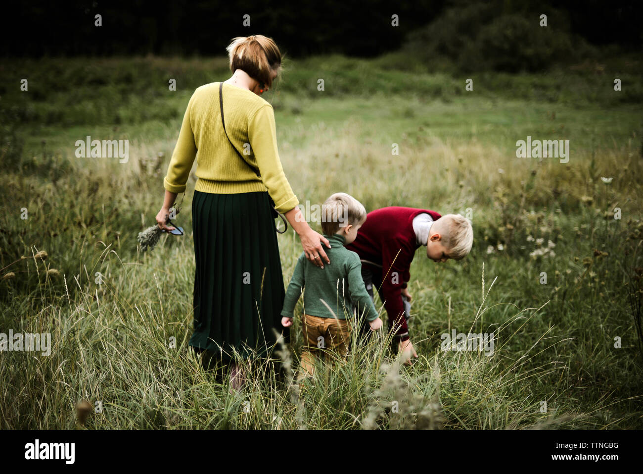 Ein Trio der Familie zu Fuß von hinten in den Wald Stockfoto