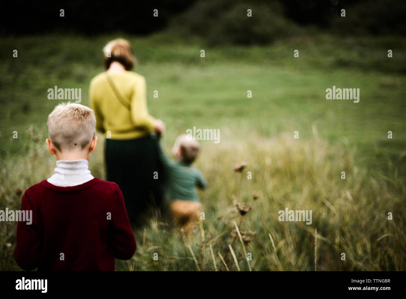 Ein Trio der Familie zu Fuß von hinten auf der Wiese Stockfoto