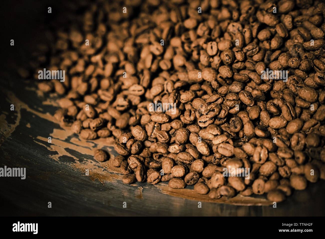 Close-up von Kakaobohnen in Maschinen an Chocolate Factory Stockfoto