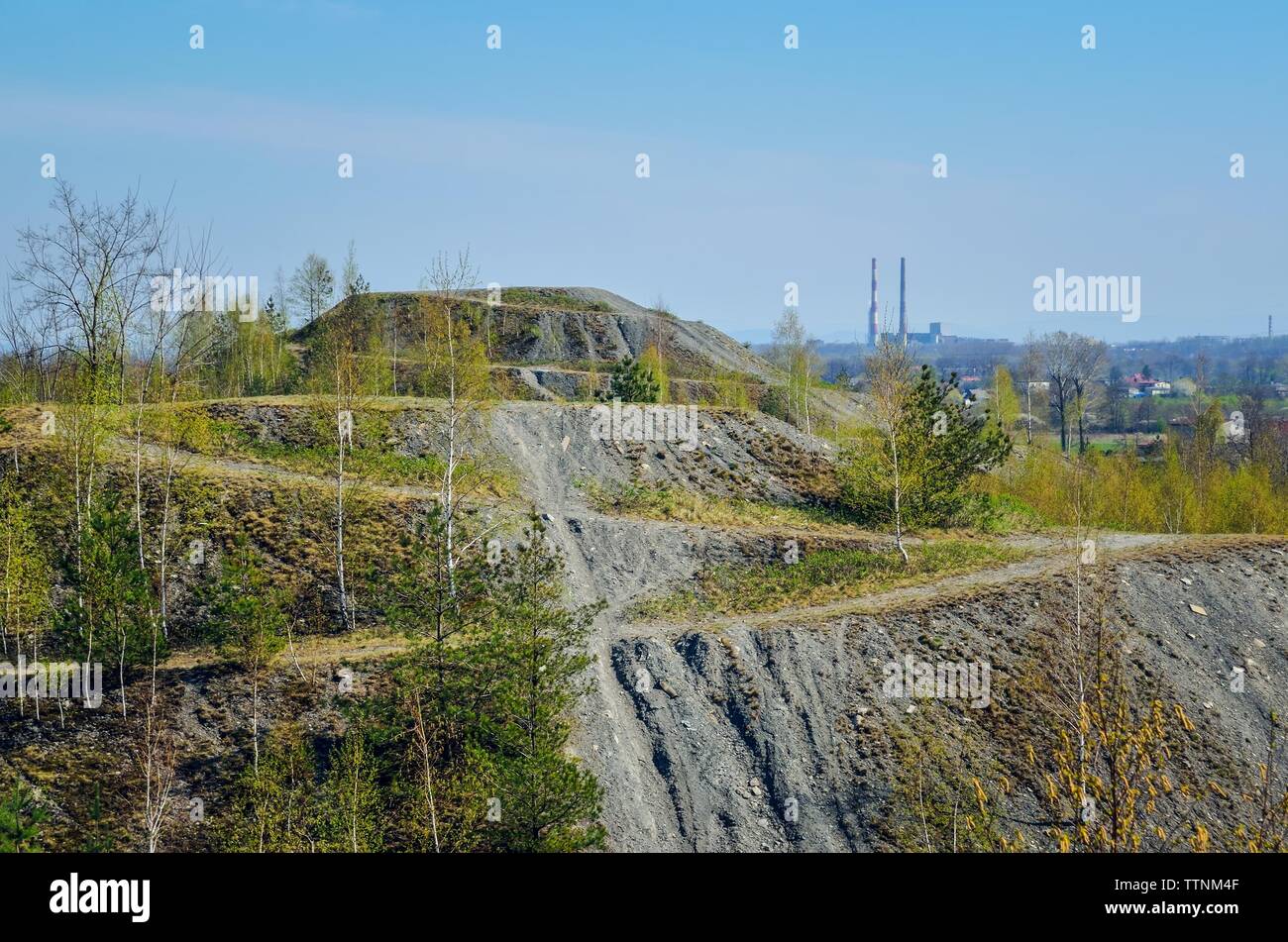 Steinkohlenbergbau in Polen. Mine Heap im Frühjahr Landschaft. Stockfoto