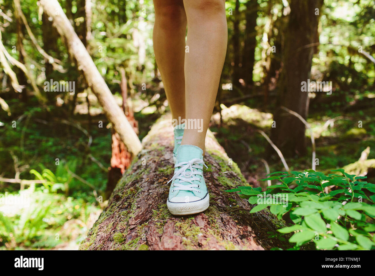 Niedrige Abschnitt der weiblichen Wanderer zu Fuß auf Log in Wald Stockfoto