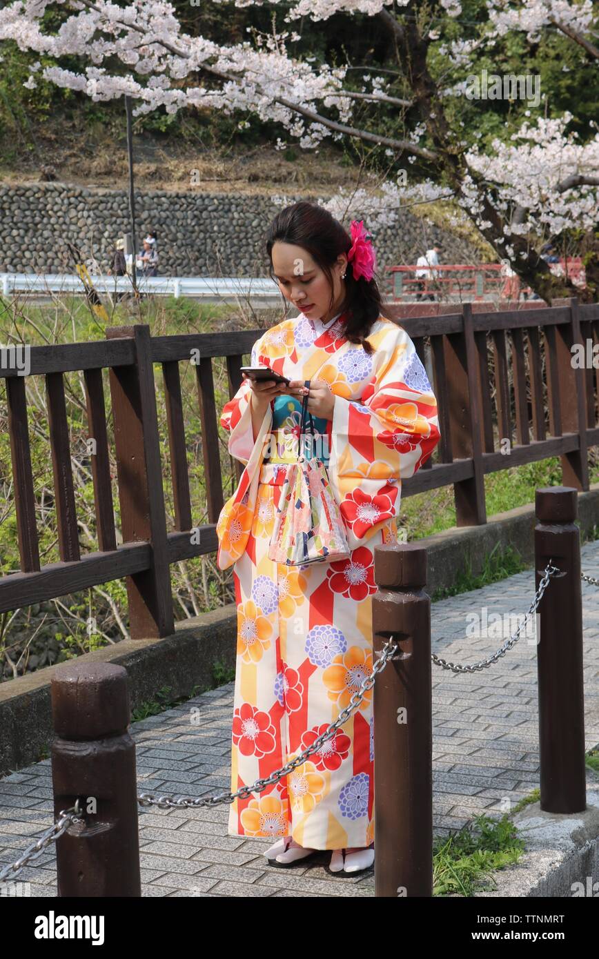 Japanische Mädchen mit Kimono vertieft in Ihr Mobiltelefon mit Cherry Blossom im Hintergrund Stockfoto