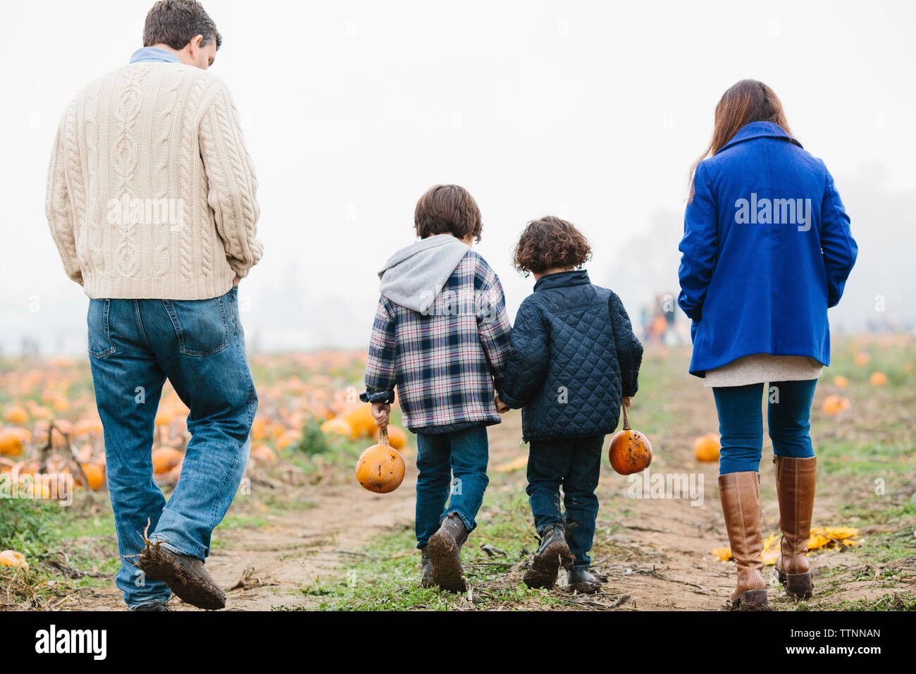 Ansicht der Rückseite des Söhne Kürbisse, die beim Gehen mit Eltern über Pumpkin Patch im Winter Stockfoto