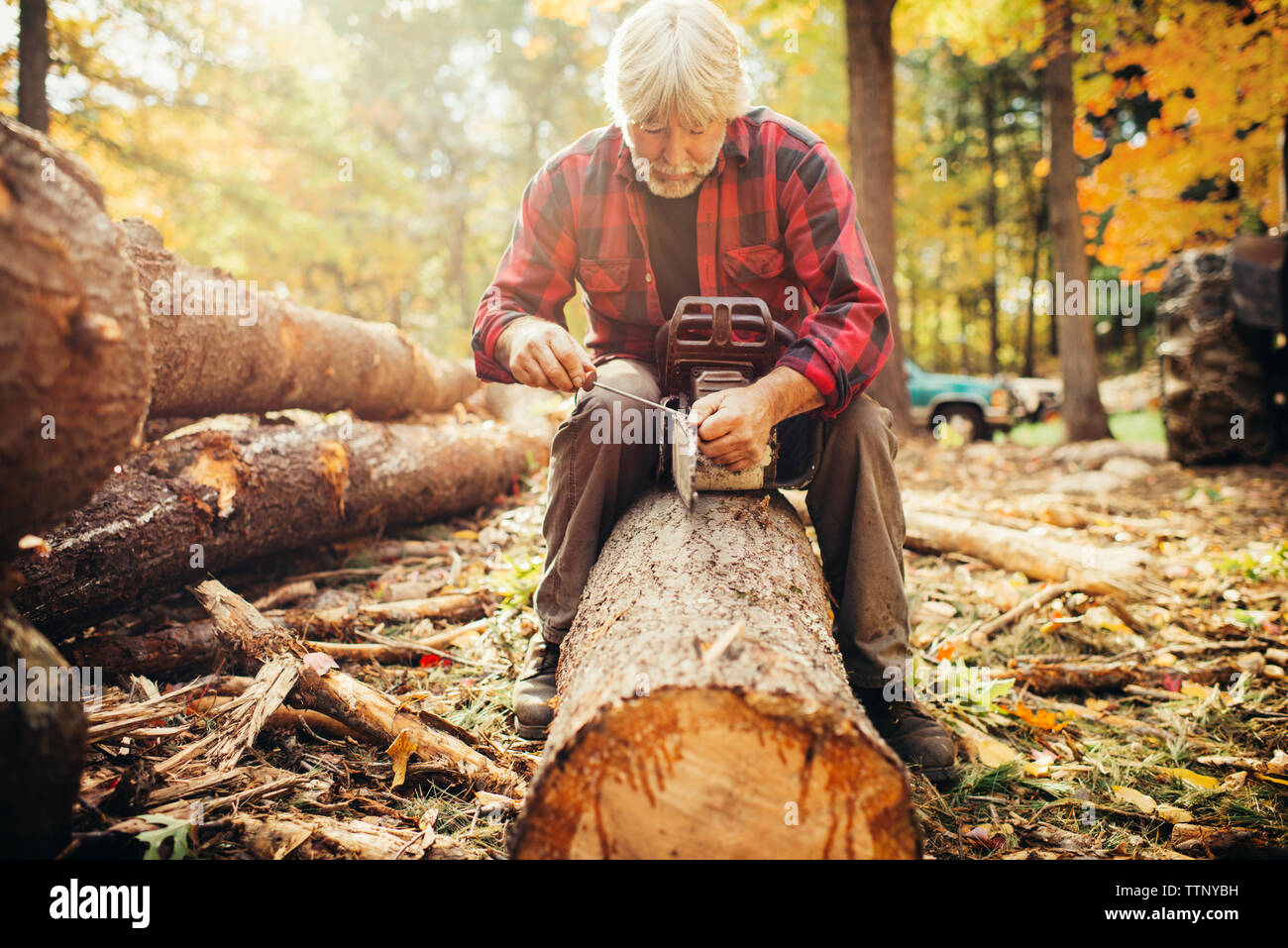 Reife männliche Holzfäller zur Festsetzung der Kettensäge beim Sitzen auf Log in Wald Stockfoto