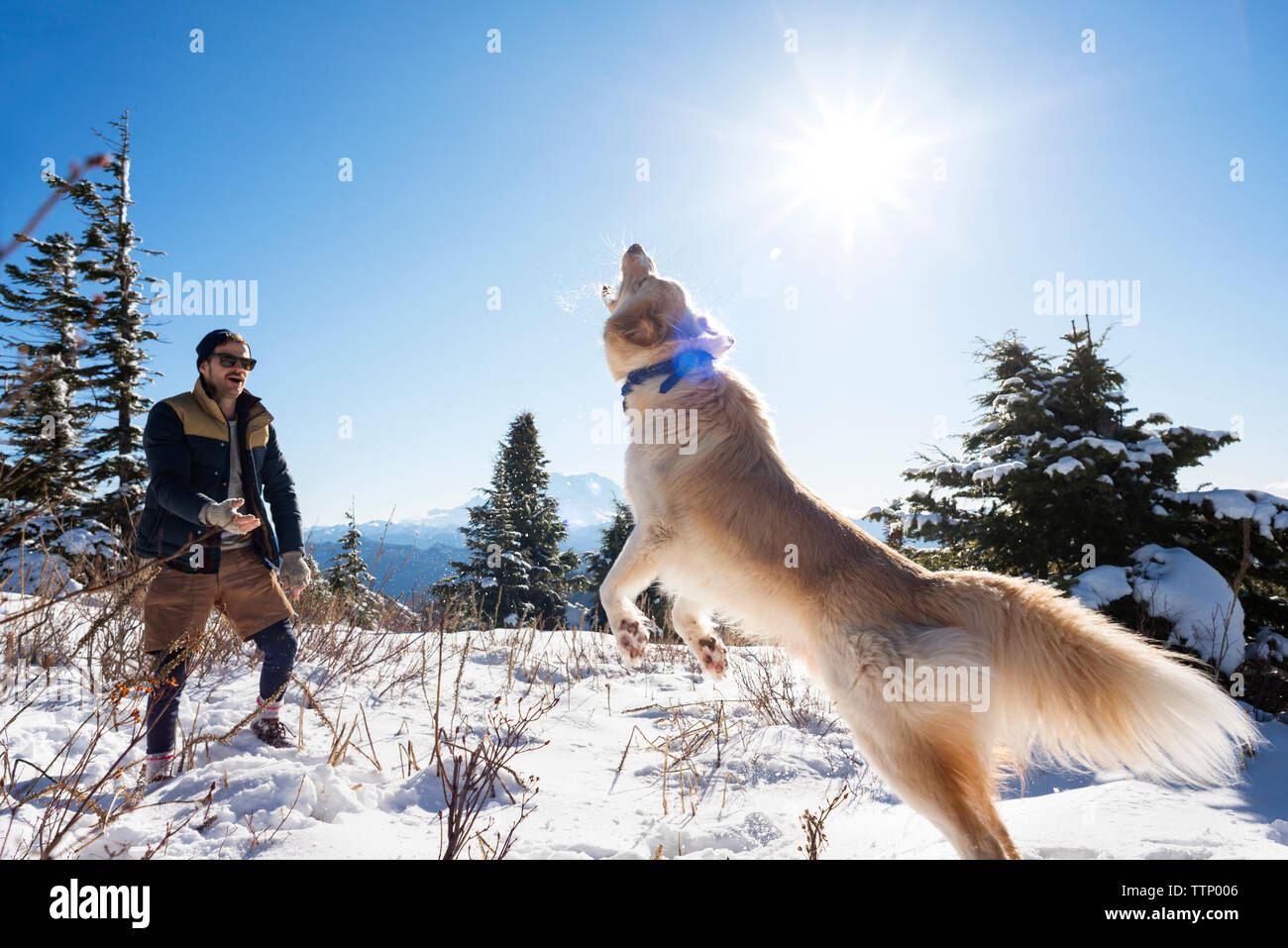 Mann spielt mit Hund auf schneebedeckte Berge gegen Sky Stockfoto