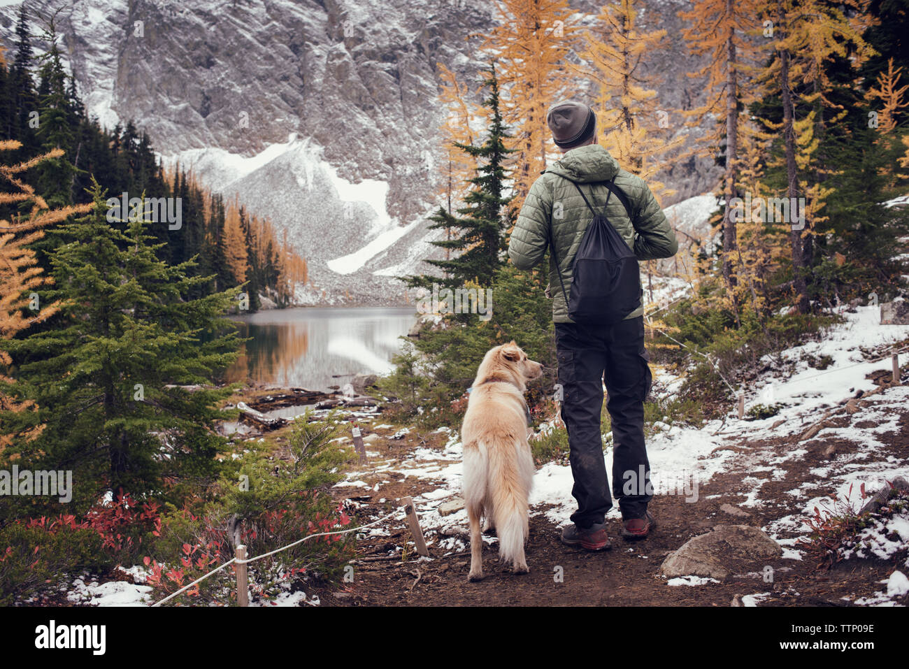 Ansicht der Rückseite des Mann mit Hund in Wald im Winter Stockfoto