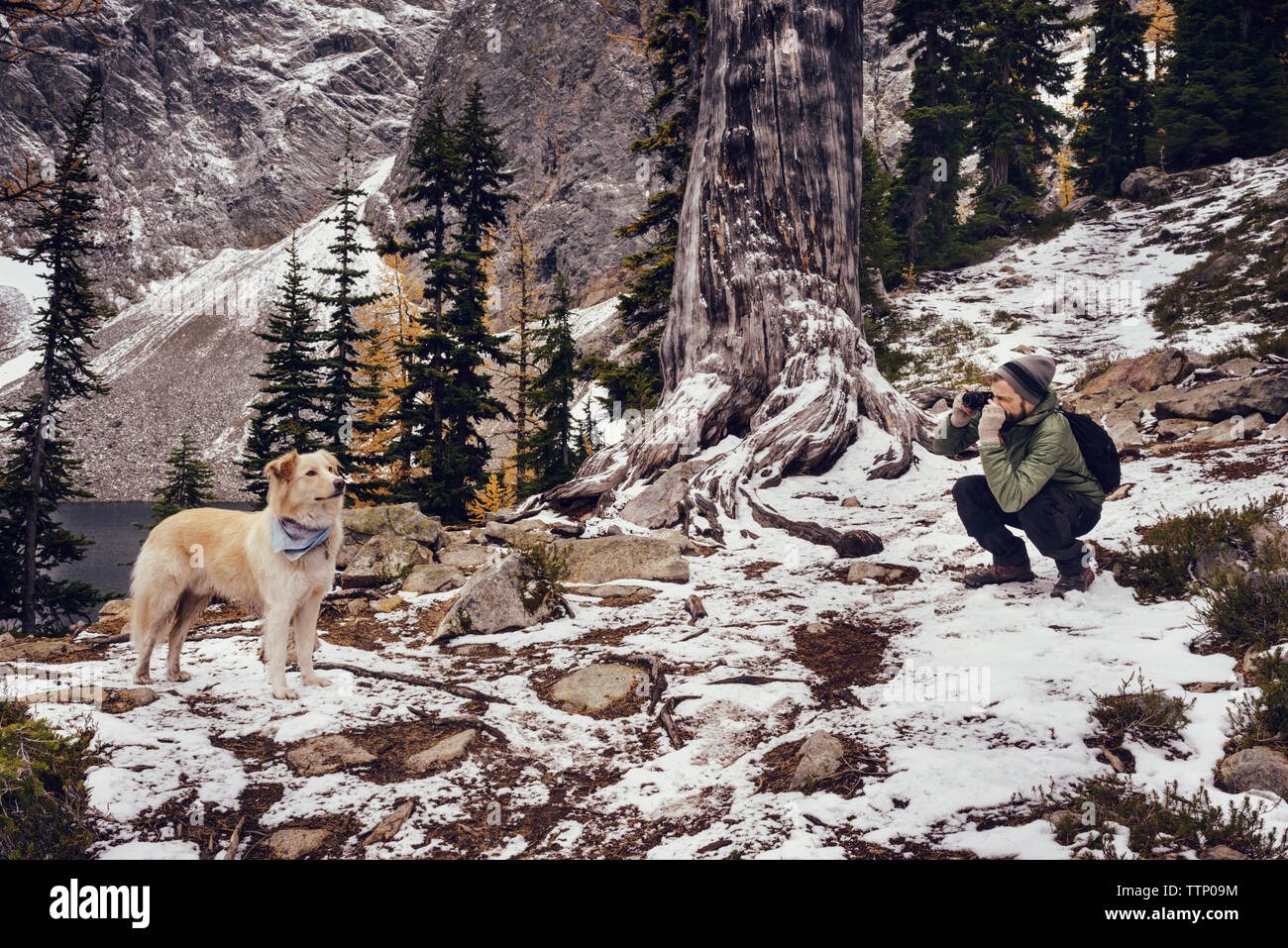 Mann fotografiert Hund in Wald im Winter Stockfoto