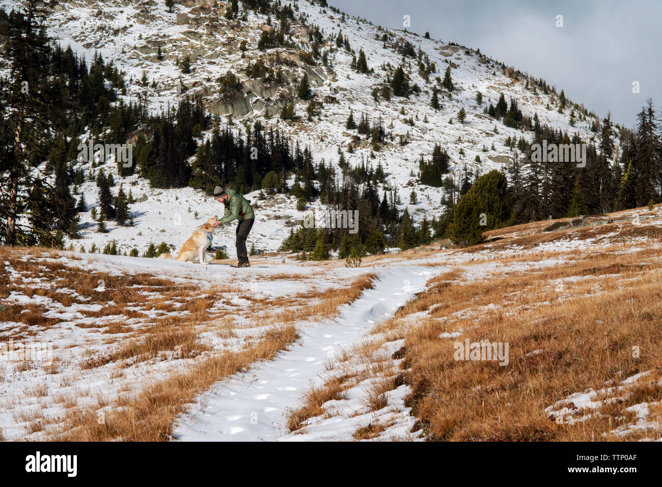 Glückliche Menschen streicheln Hund beim Stehen auf Feld im Winter Stockfoto
