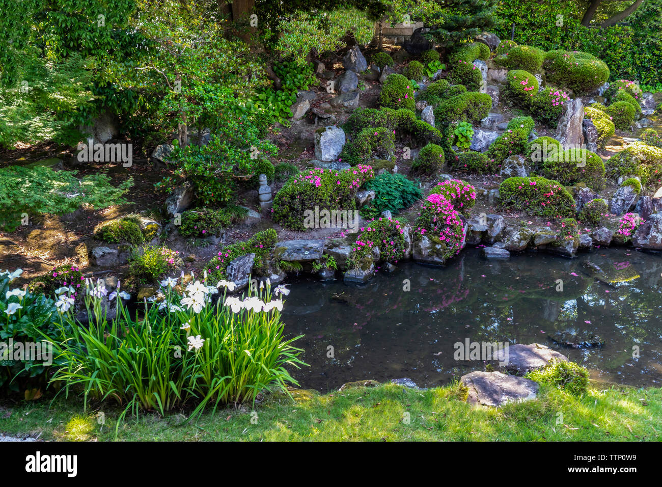 Anrakuji-tempel Garten - nagahama - Anrakuji Garten war einst die Domäne einer Villa, die der Fujiwara Clan gehört. Der Teich Garten enthält die erforderlichen Stockfoto