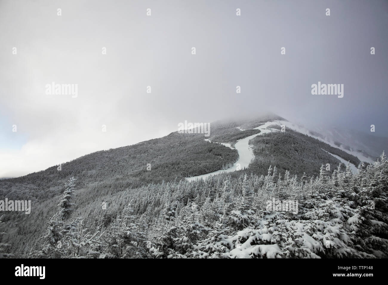 Verschneite Bäume auf dem Berg gegen bewölkter Himmel Stockfoto