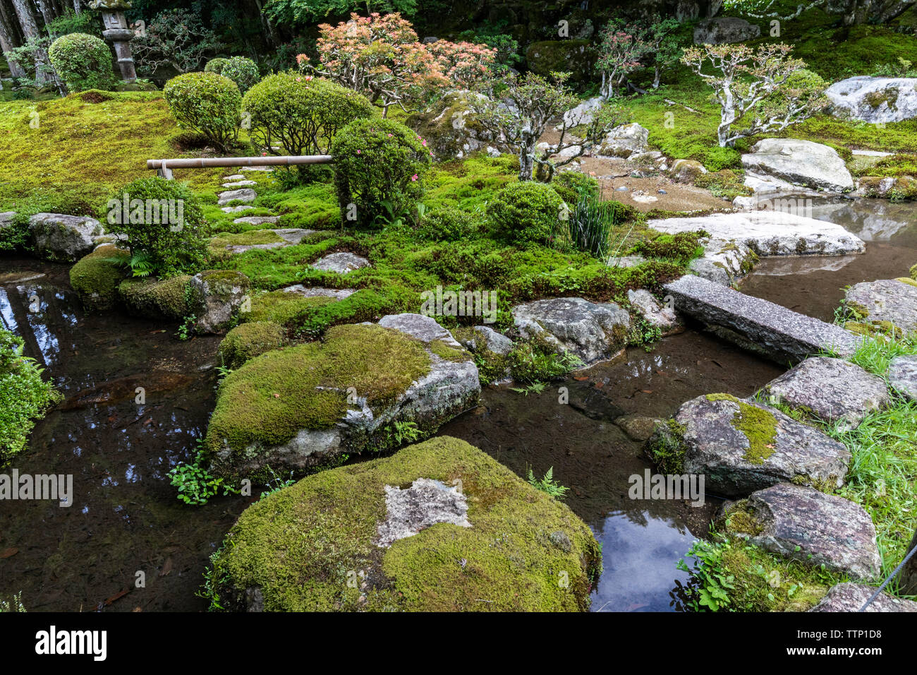 Kyu-Chikurin - im Garten ist berühmt für seine traditionellen Tee - Zeremonie Häuser und Arbor die Alle hat als Kulturgut von Otsu Stadt benannt worden. Stockfoto
