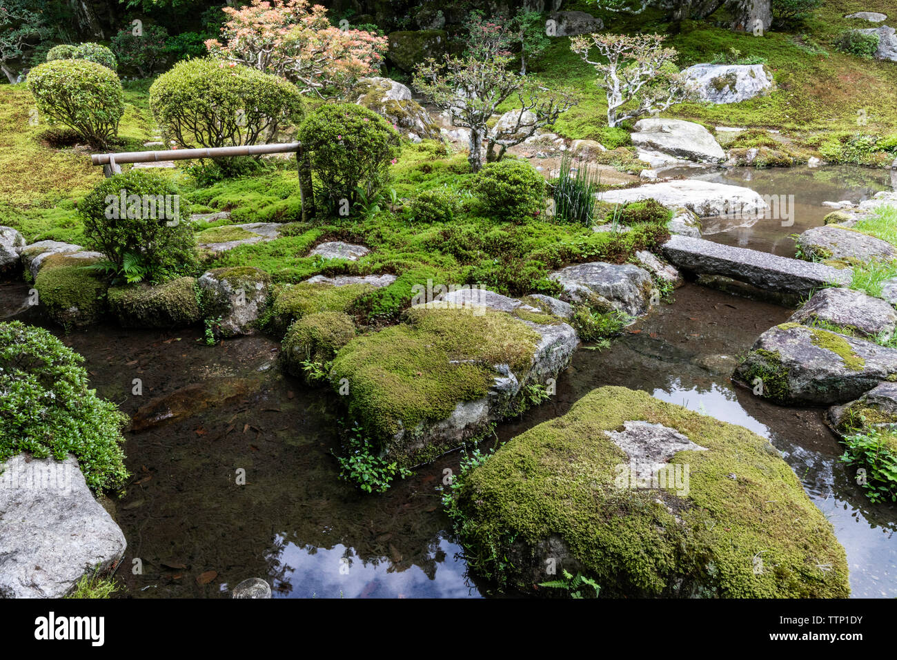 Kyu-Chikurin - im Garten ist berühmt für seine traditionellen Tee - Zeremonie Häuser und Arbor die Alle hat als Kulturgut von Otsu Stadt benannt worden. Stockfoto