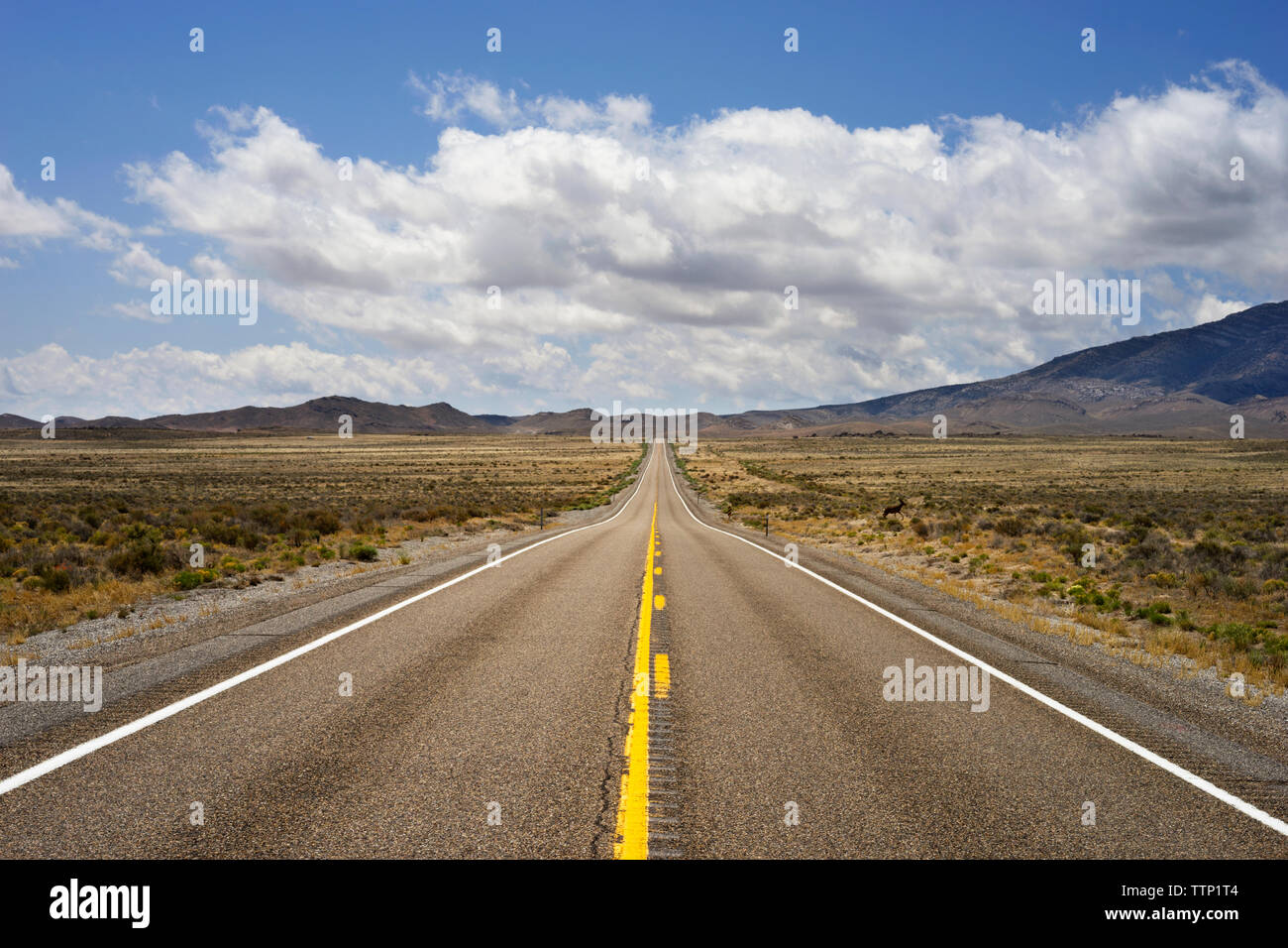 Landstraße inmitten Feld gegen bewölktem Himmel Stockfoto